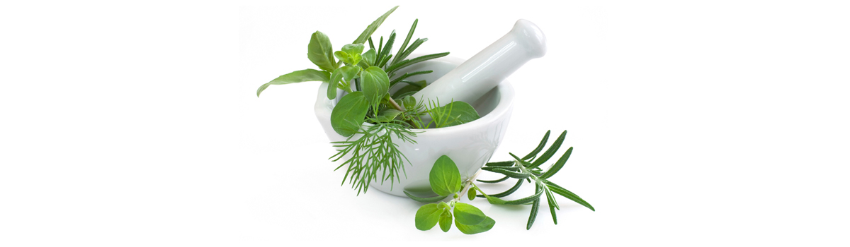 Mörser mit frischen verschiedenen Kräutern