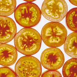 runde Tomatenscheiben