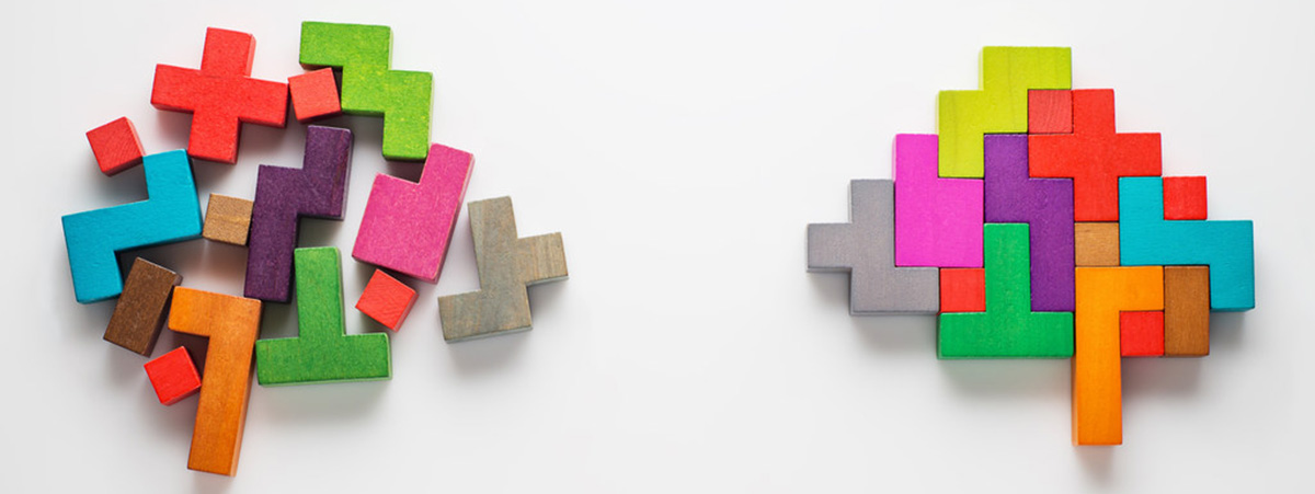 Bauklötze, Gehirnform