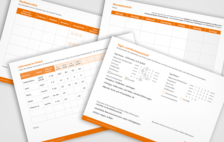 Abbildung des Dokuments