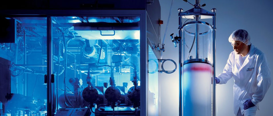 Einstieg Biotechnologie