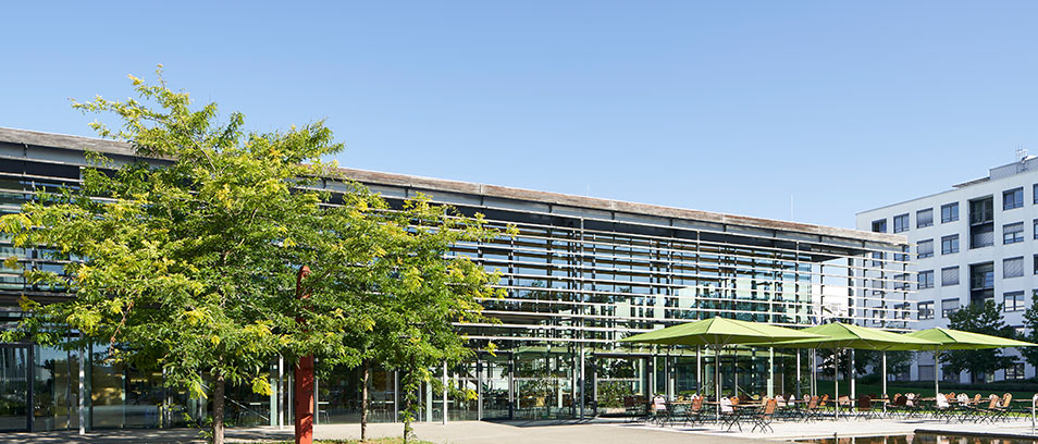 Abbildung des Ruth-Merckle-Hauses