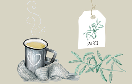 Abbildung einer Kräuterkarte