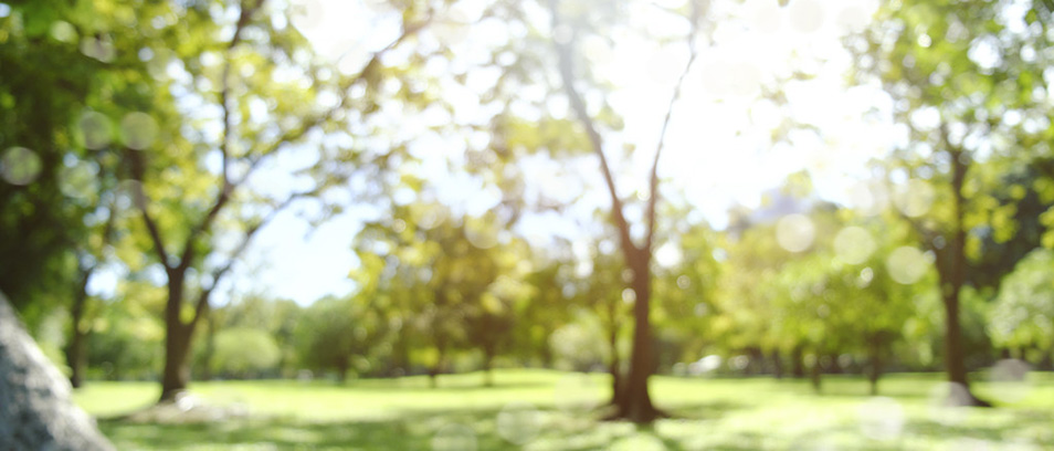 Verschwommene Landschaft