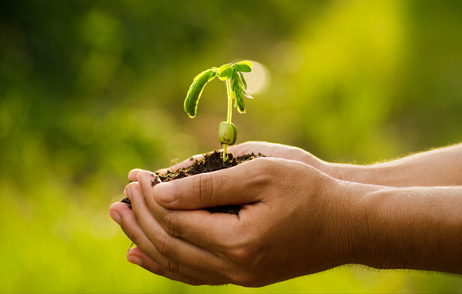 Umweltschutz hat viele Akteure