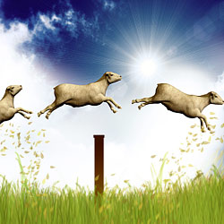 Wussten Sie schon, dass Schäfchenzählen tatsächlich eine gute Einschlafhilfe ist?