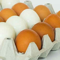 Wussten Sie schon, warum manche Hühnereier braun und manche weiß sind?