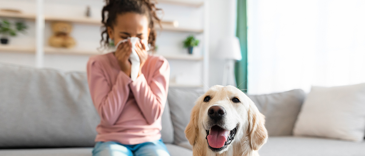 Kind nießt wegen Hundehaare