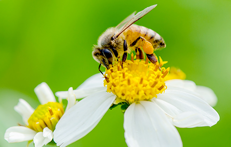 Wissenswerte Infos über Allergien