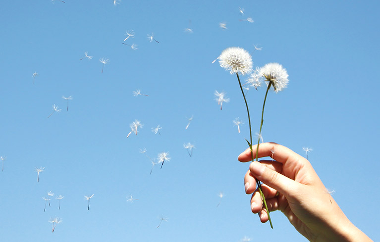 Auslöser und Formen von Allergien