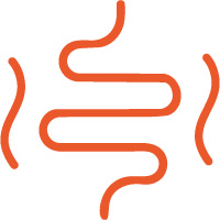 Grafische Darstellung eines Darms mit geschwungenen Linien an beiden Seiten.