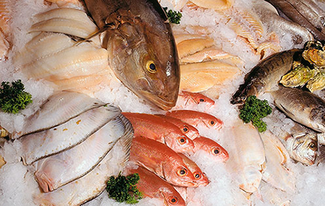 Fische