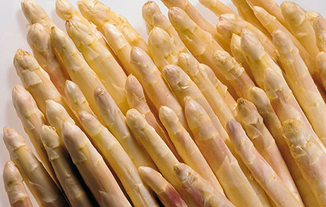 Spargel