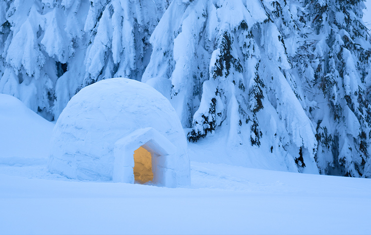 Schneeiglu in Winterlandschaft