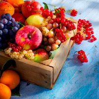 Ernährungstipps für ein starkes Immunsystem: Vitamine, Mineralstoffe und Antioxidantien
