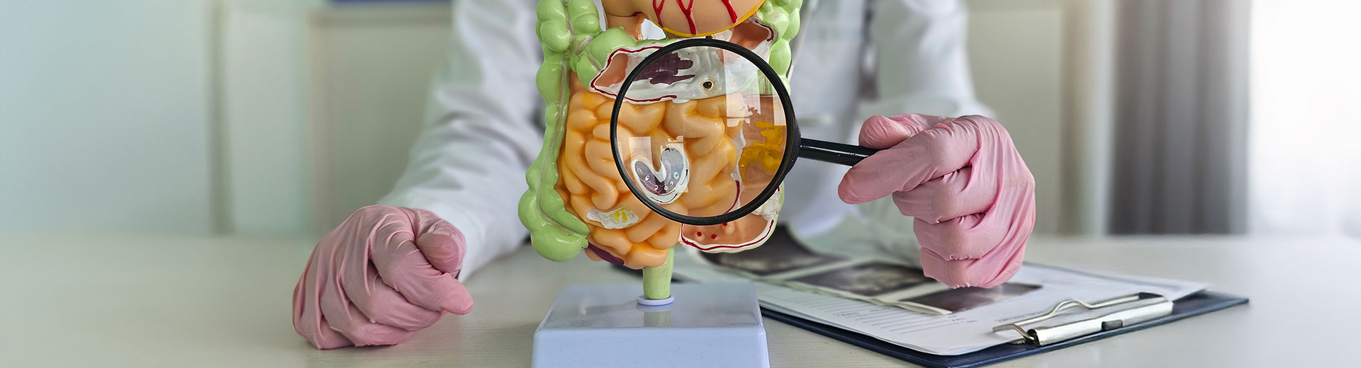 Ärztin mit Lupe in der Hand ein Modell eines Darms zeigend