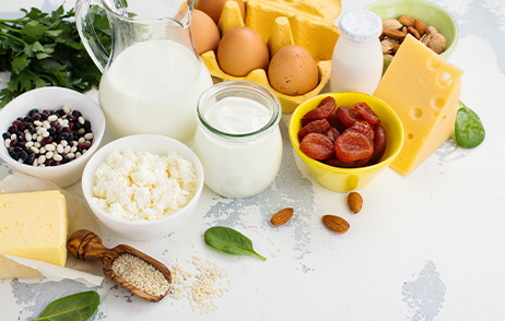 Verschiedene Lebensmittel wie Milch, Joghurt, Käse, Eier, getrocknete Aprikosen und Nüsse liegen auf einer hellen Fläche