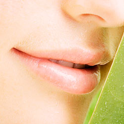 Bei Lippenbläschen (Herpes) frühzeitig eine Lippenherpescreme auftragen