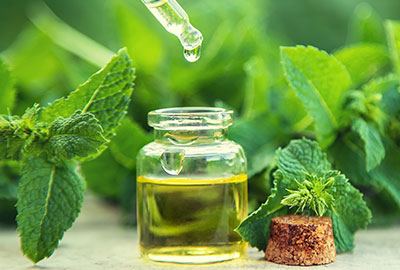 Pfefferminzöl Pfefferminzöl
